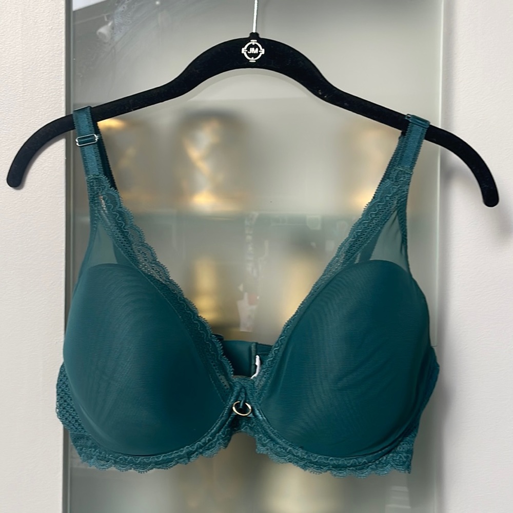 Chantelle Frstive Lace plunge bra 36DDD emerald